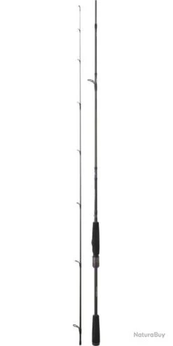 Canne Daiwa Spinning Prorex Ags 632 MLFS 1,91M 5-14G